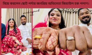 বিয়ে করলেন ছোট পর্দার জনপ্রিয় অভিনেতা জিয়াউল হক পলাশ।